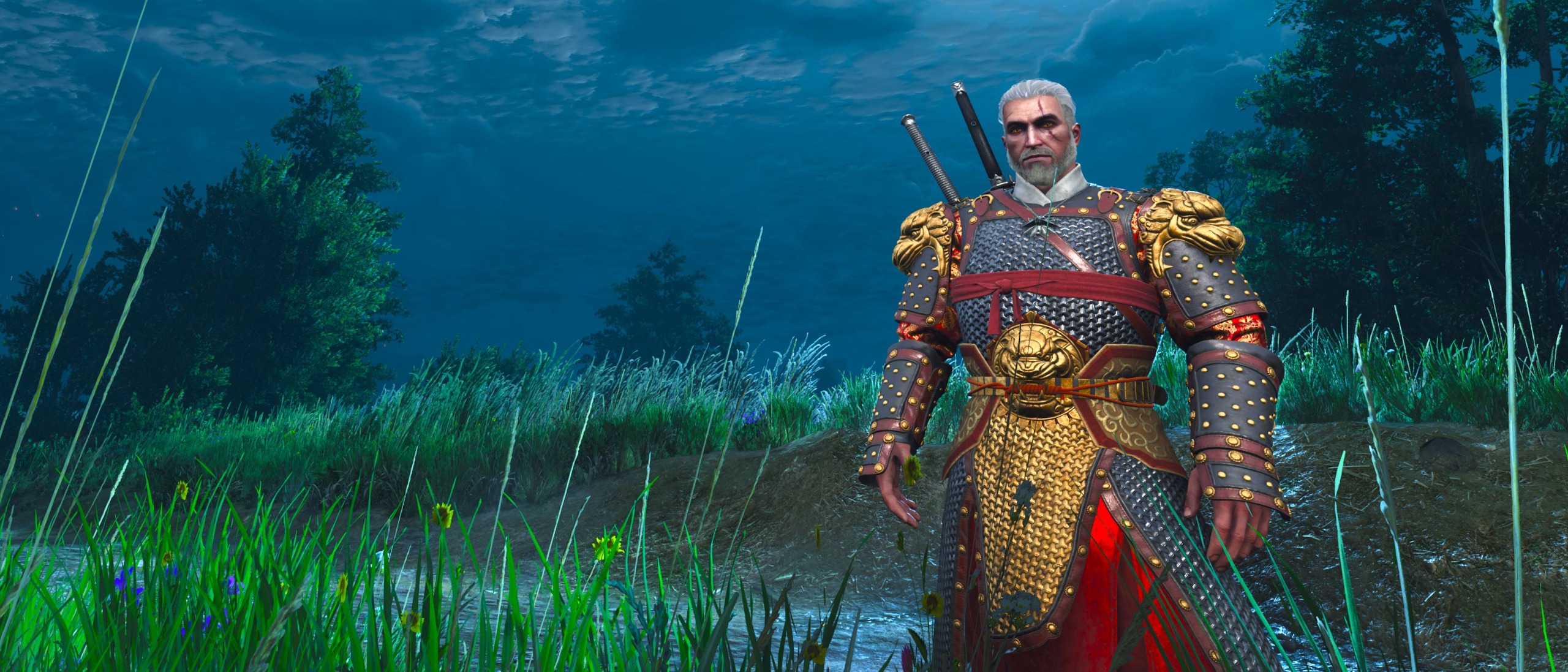 Geralt stands in front of a grassy landscape