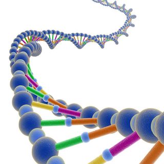 Visualization of the DNA double helix.