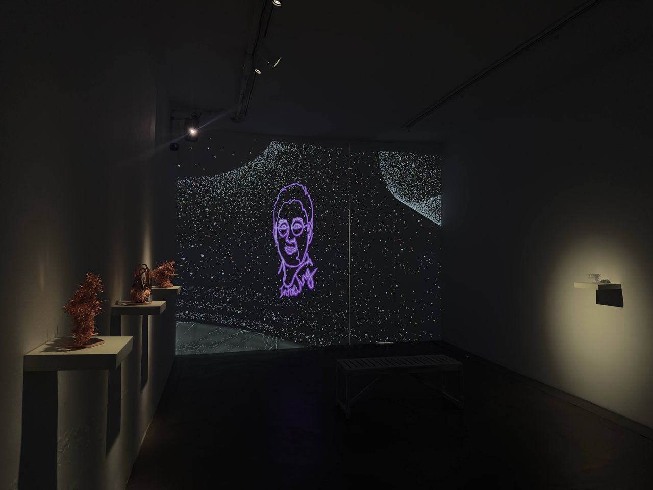 A projected image is on a dark screen in a darkened room of an art exhibit