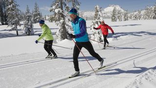 USA, California, three men cross-country skiing, classic style