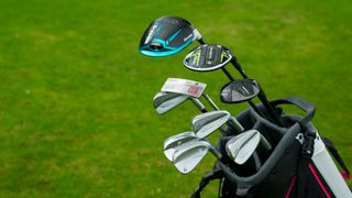 Golf clubs pictured in a bag