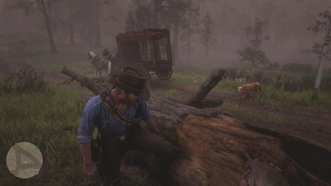The 7 best Red Dead Redemption 2 Strangers missions | GamesRadar+