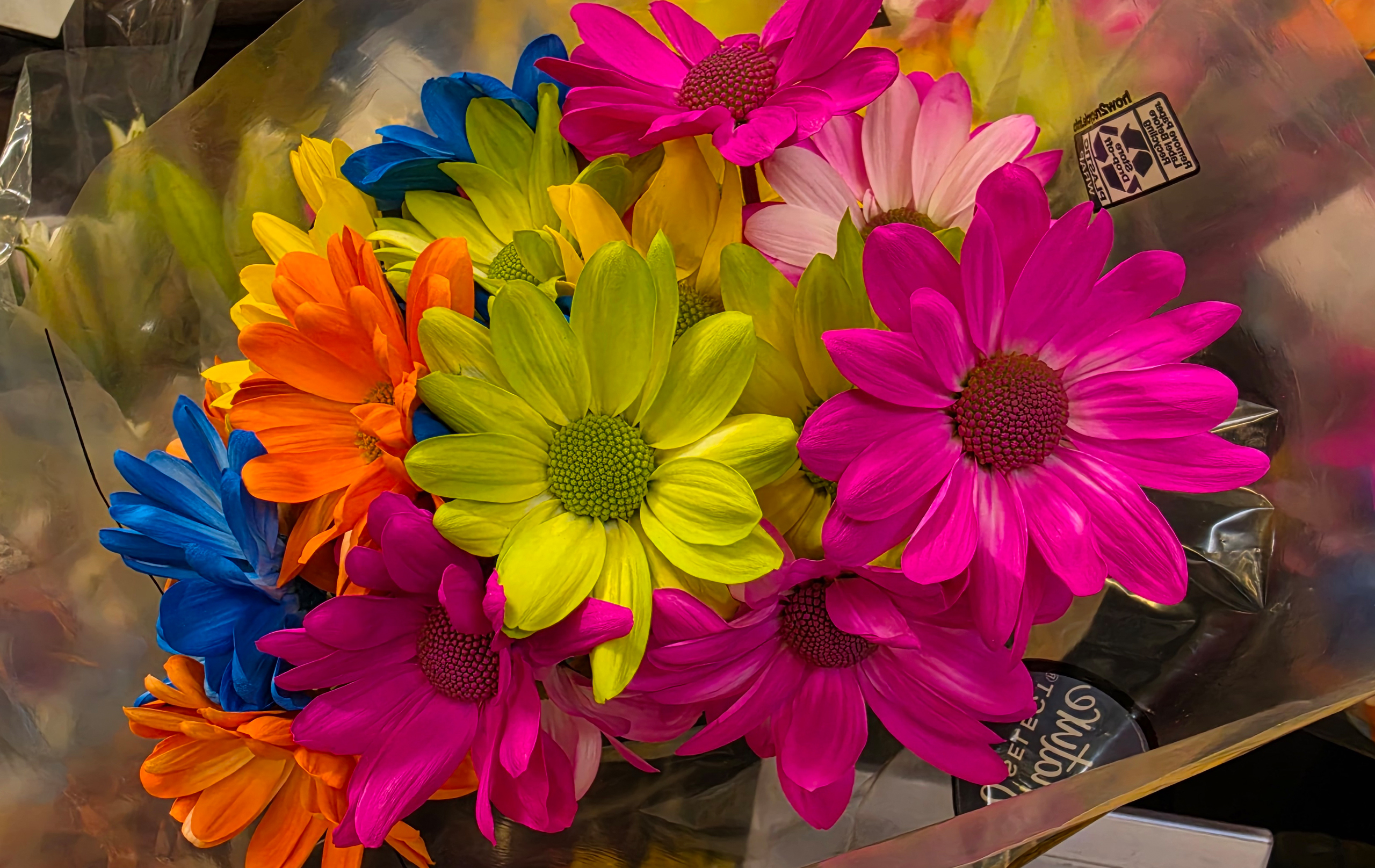 Galaxy S26 Ultra photo comparisons