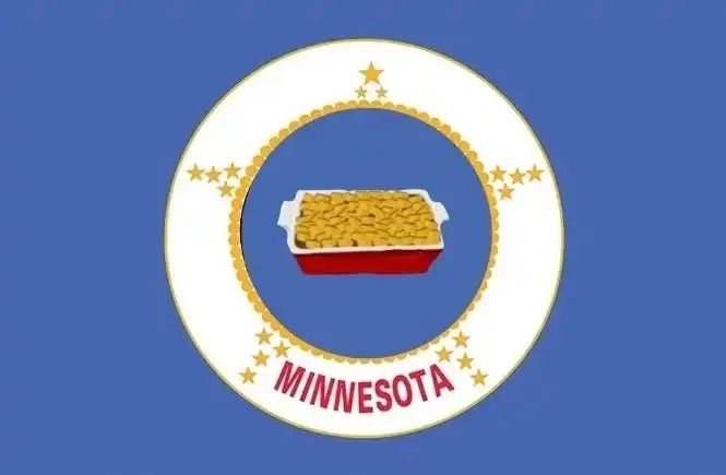 Minnesota state flag