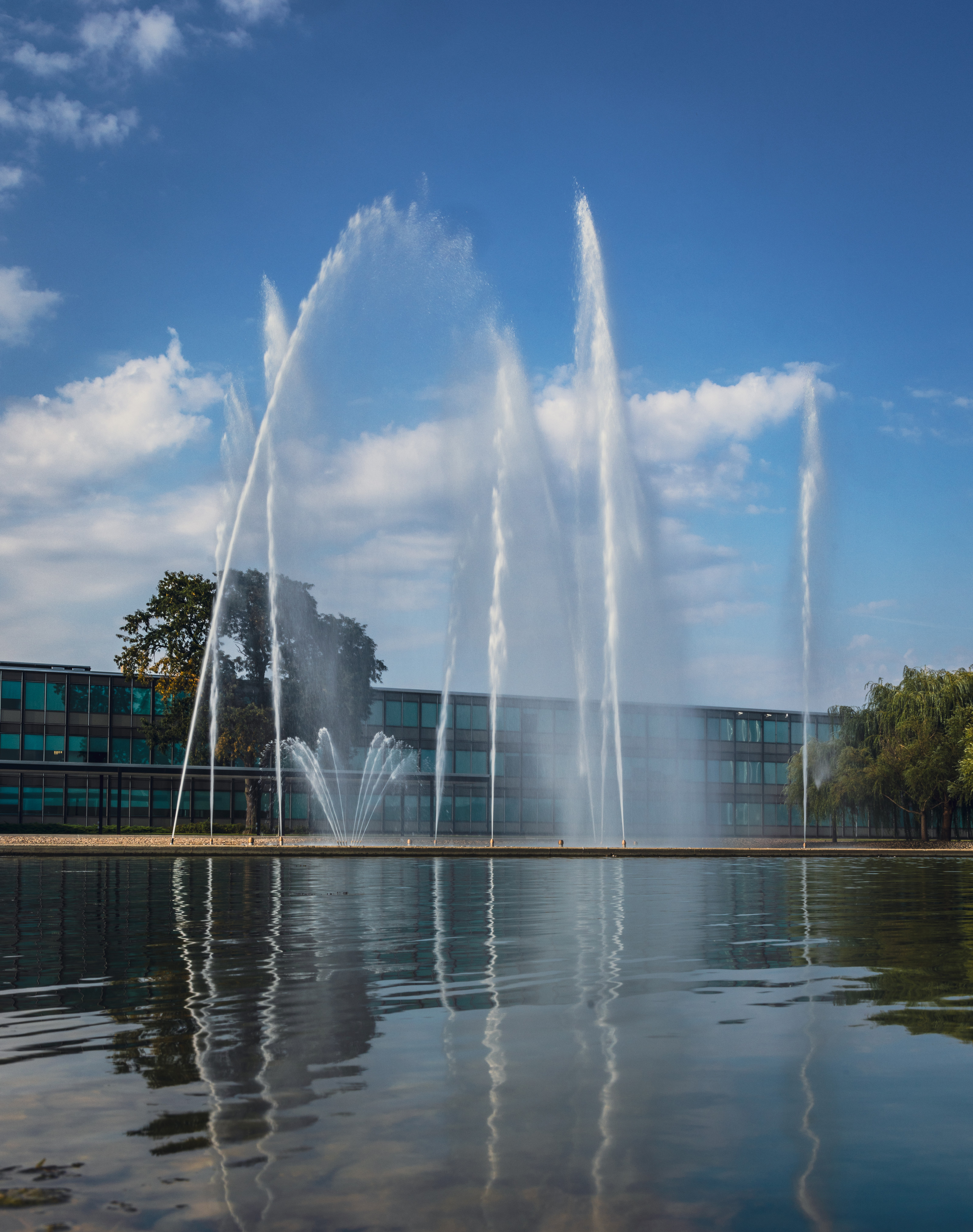 Calder's Water Ballet