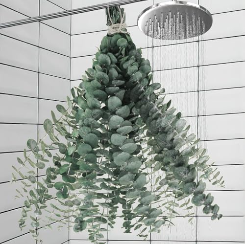 11 Pcs Real Dried Eucalyptus Stem for Shower &amp;amp; Bathroom Decor - 17&#039;&#039; Large Natural Fresh Eucalyptus Leaves Hanging Plants, Shower Stuff Green Home Vase Decor, Diy
