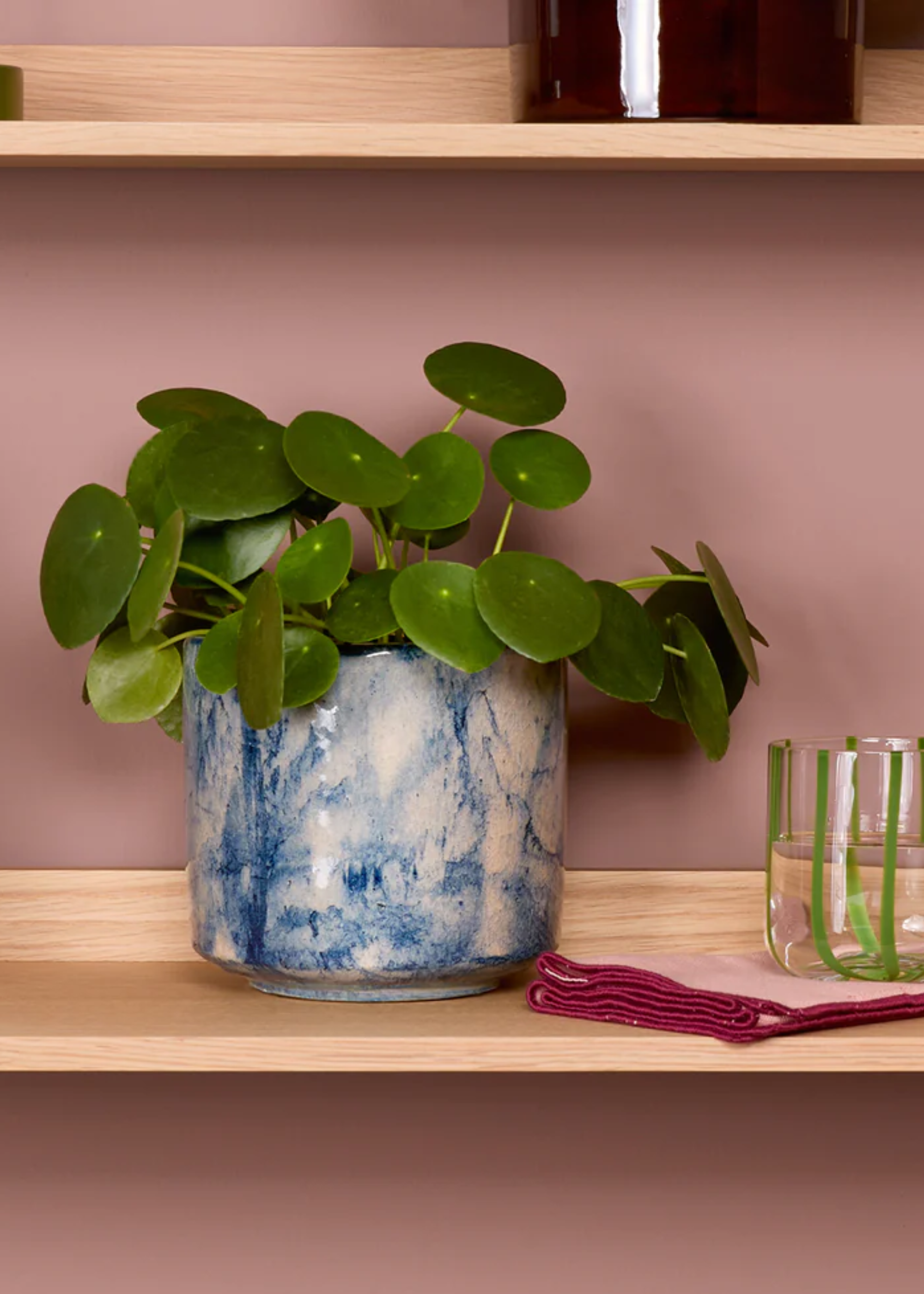 Where to Put a Chinese Money Plant in Your Home for Good Luck — Move Yours Here for a More 'Prosperous' Spring
