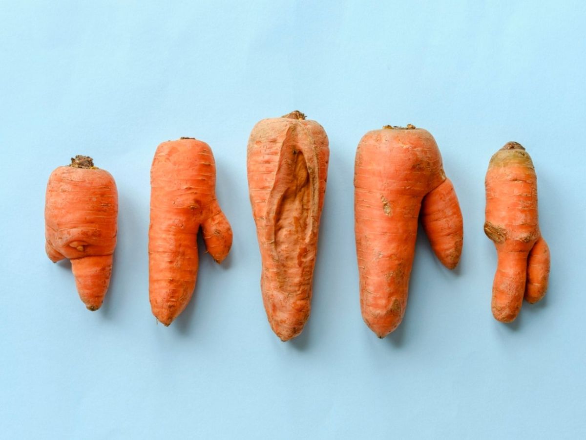 Split Carrot Root Reasons Why Carrots Are Cracking Gardening Know How