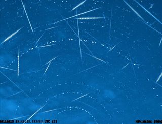 Perseids composite, seen Aug. 12-13. Concentric circles are star trails.