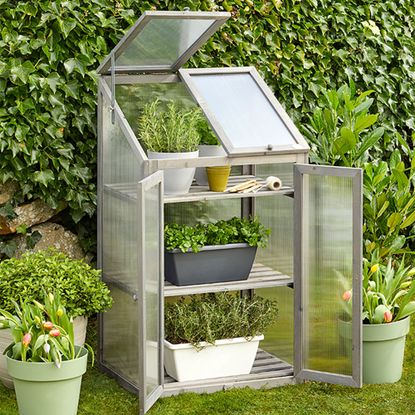 DIY greenhouse ideas: easy ways to organise outdoor growing space ...