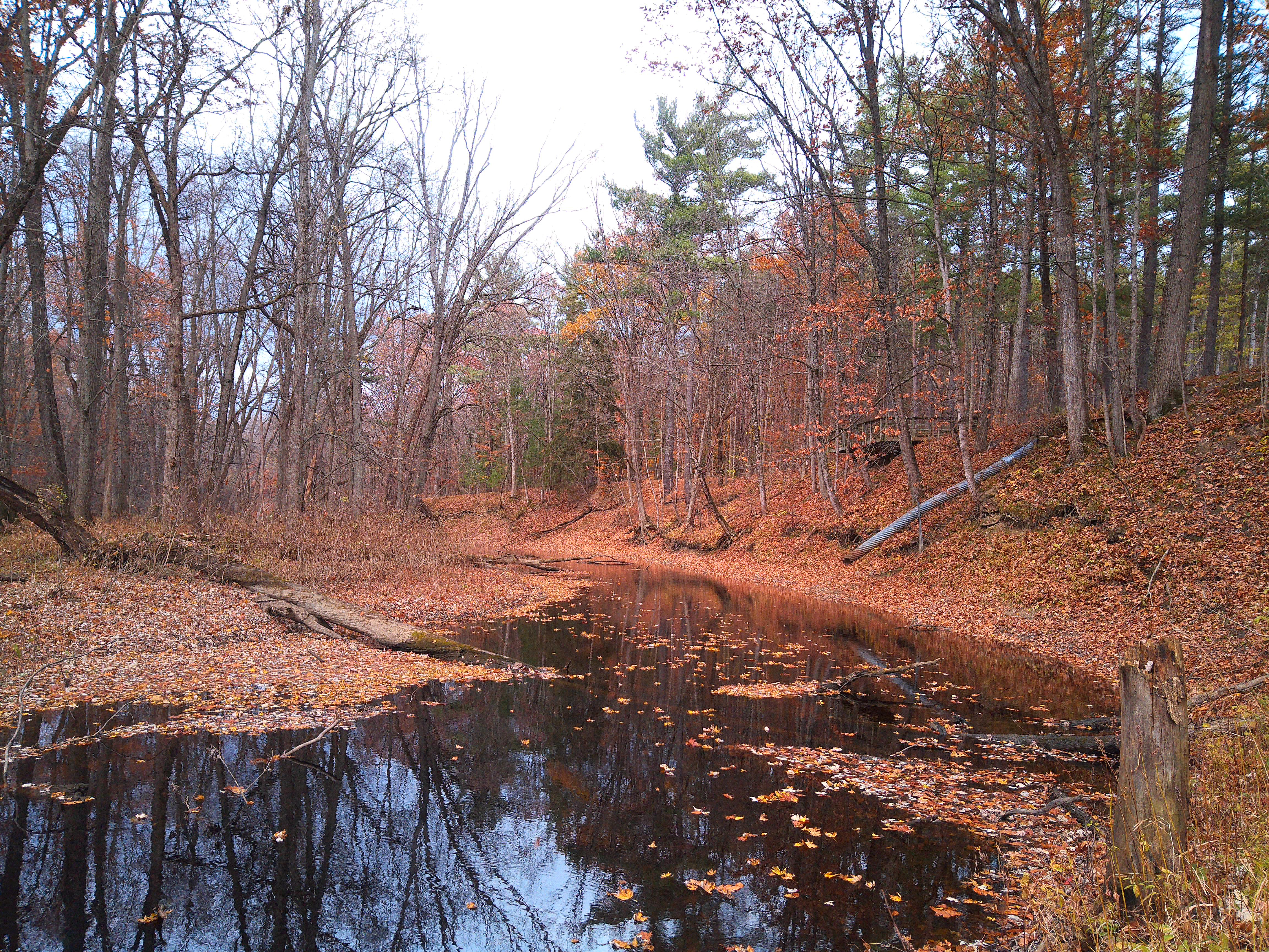 A sample image taken with the Camp Snap CS-Pro