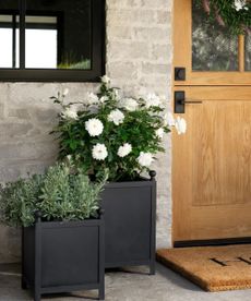 wooden front door with two blank plant pots with green and white flowers and foliage