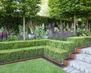 modern garden design with low clipped hedges, flower beds and small ornamental trees and steps