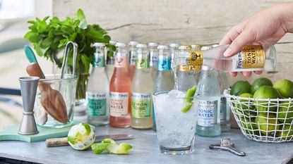 Fever Tree drinks mixers