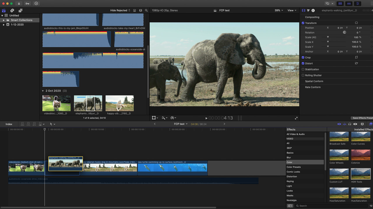 Final Cut Pro