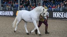 Contepomi-Cashel_The-Pageant_PN19_13287-920x613-1.jpg