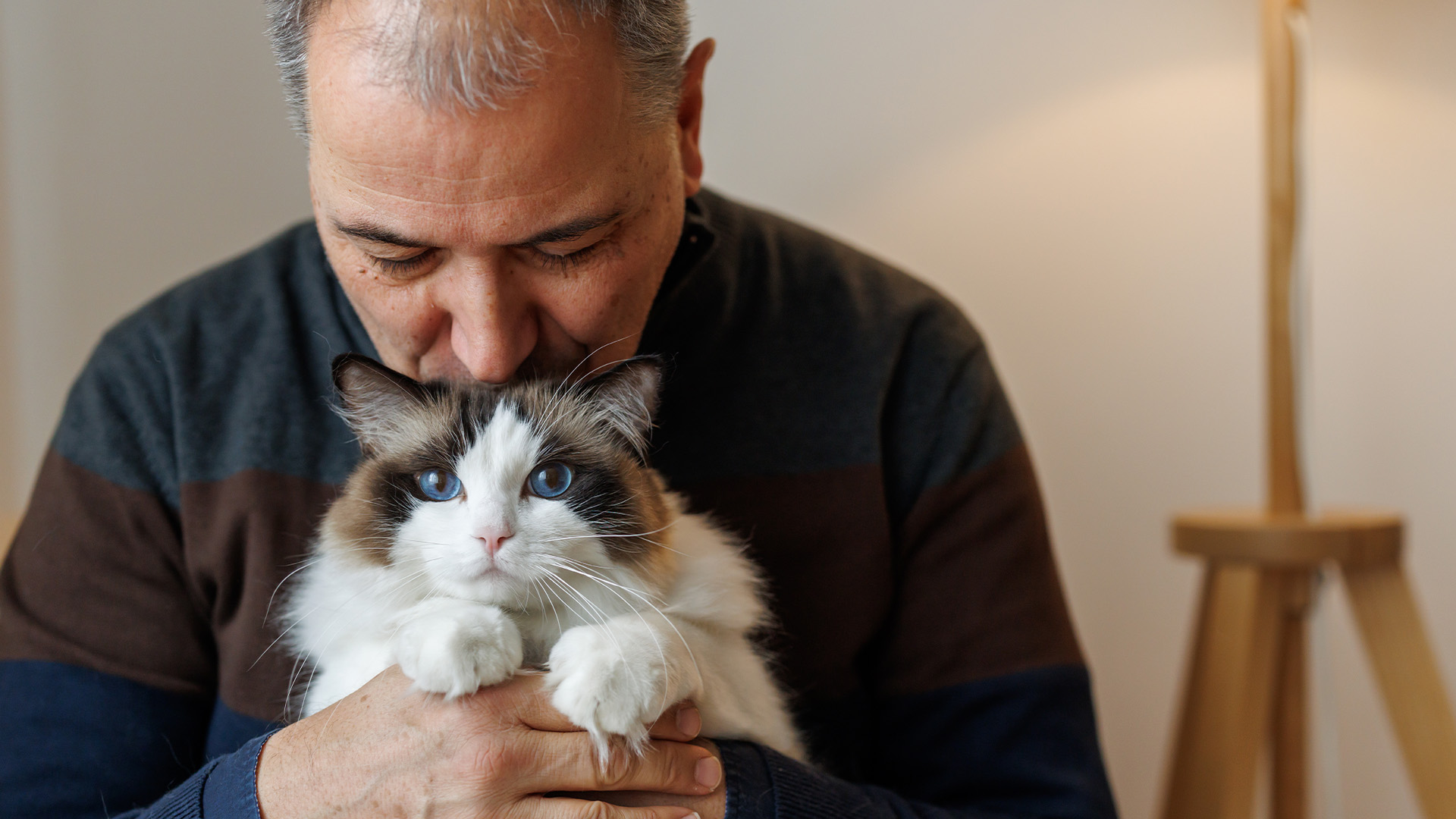 Man cuddling cat and kissing it on the head