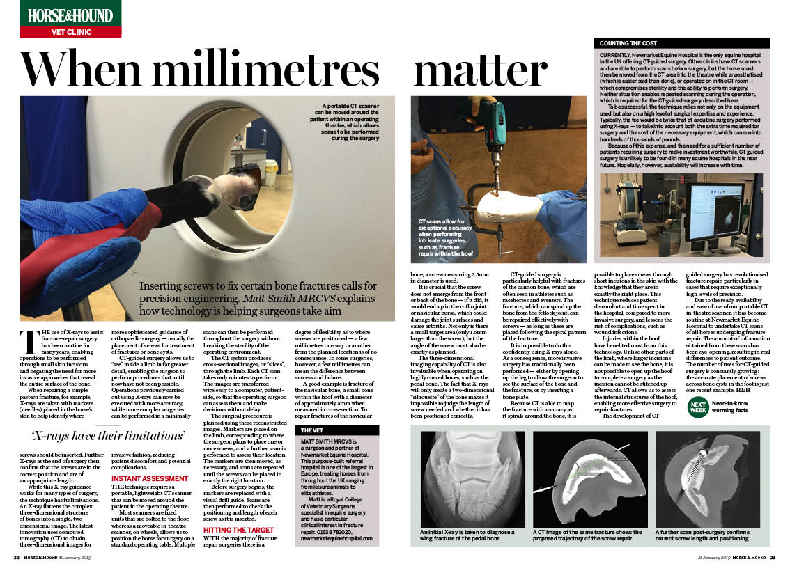Vet 2PP 31 01 CT scans for fract V2