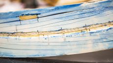 A close-up view shows a split mammoth tusk at the Alaska Stable Isotope Facility. Blue stain is used to reveal growth lines. Samples were taken along the tusk using lasers and other techniques, allowing an isotope analysis that provided a record of the mammoth's life.