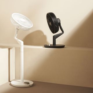 The white pedestal Duux Whisper Flex Ultimate Fan and black desk fan with a raw plaster backdrop