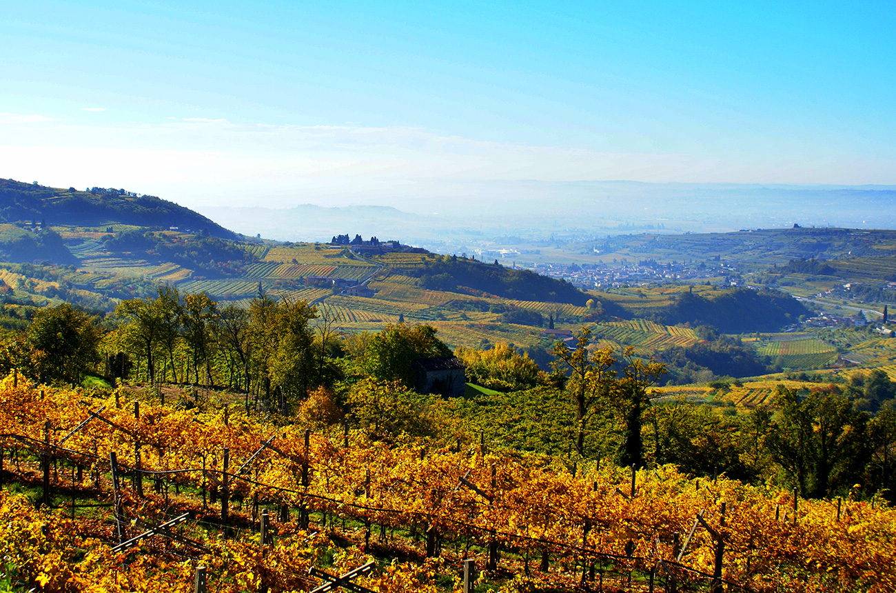 Valpolicella_landscape.jpg
