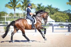 Realtor Matt Johnson riding Qasanova