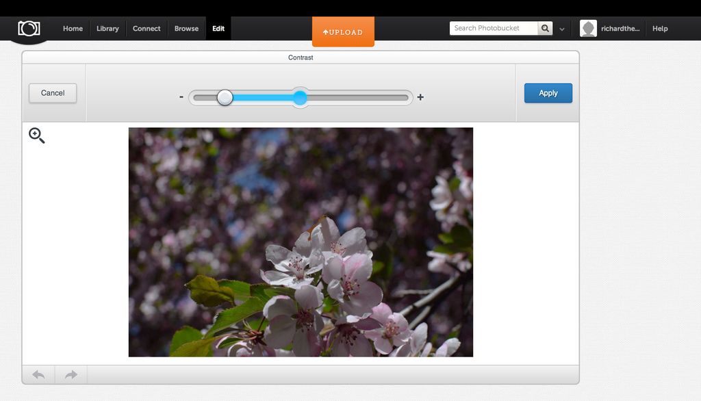 The 10 Best Online Photo Storage and Sharing Sites of 2020 Tom's Guide
