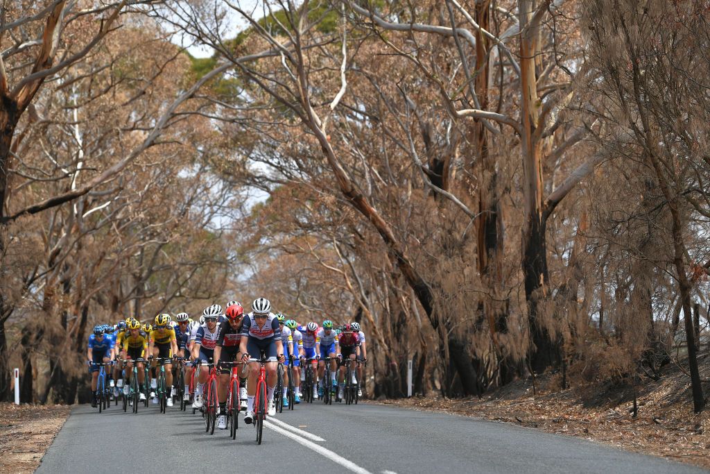 The Tour Down Under peloton