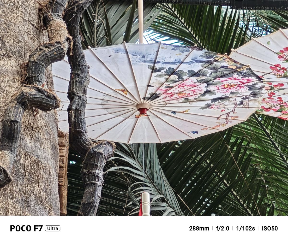 A photo captured on the Poco F7 Ultra