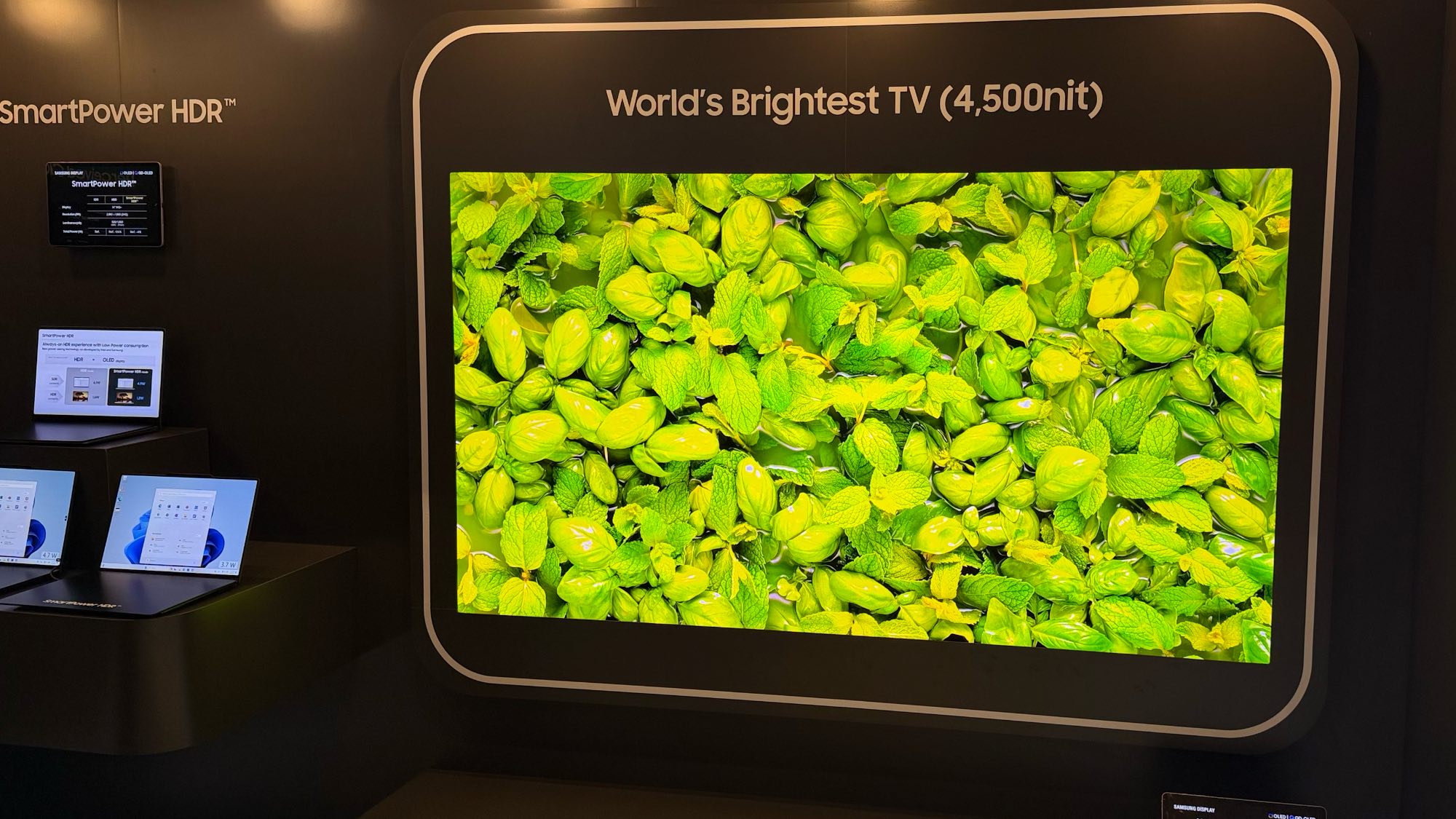 Samsung Display OLED TV with 4,500 nits