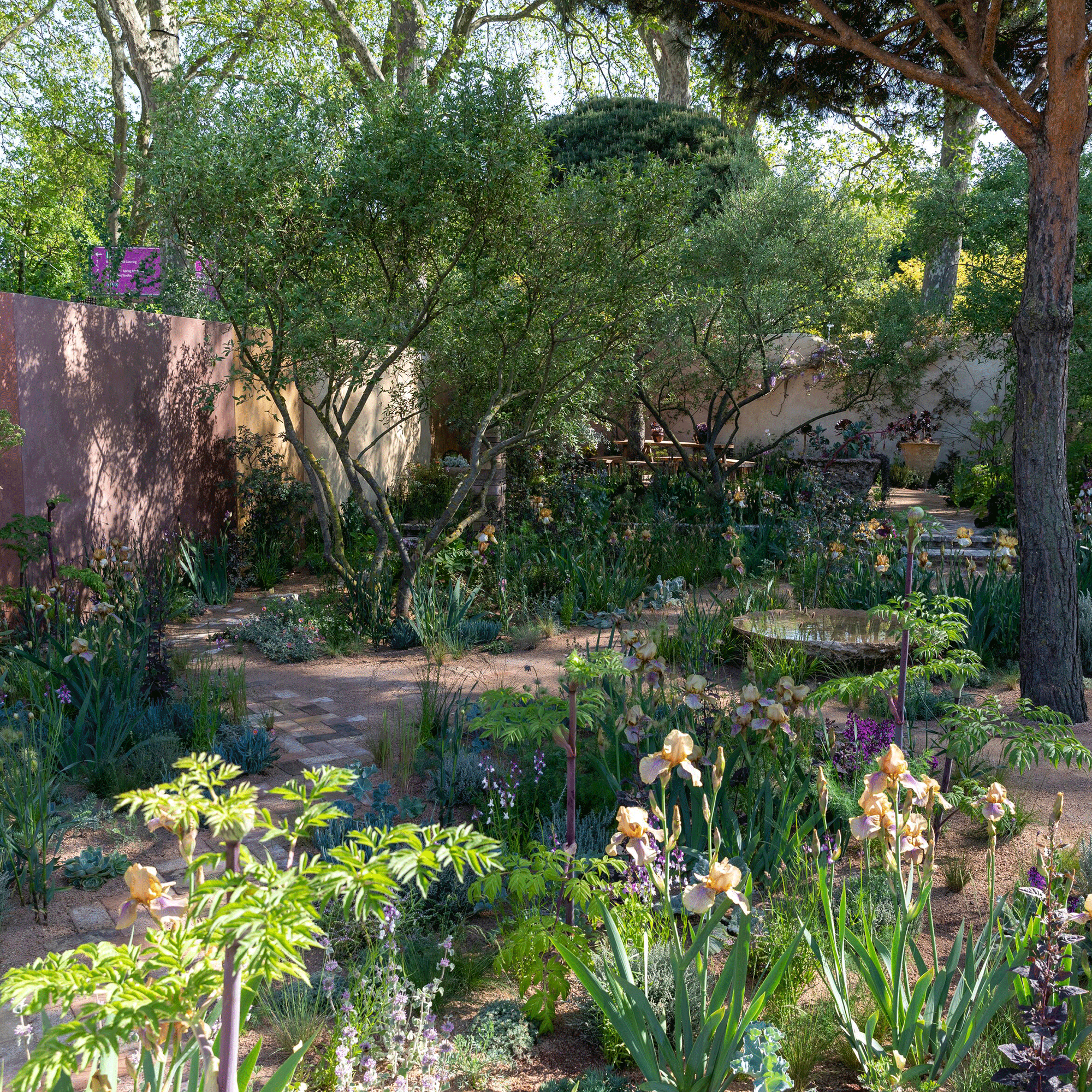 Terrracotta gravel garden