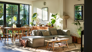 Living area with plants