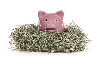 A piggy bank sits on a nest of shredded cash.
