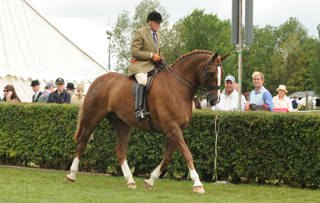 Robert Oliver riding Loughkeen Dancing Lord