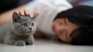 Woman lying on floor petting her kitten