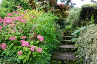 Steps at the Garden House, Devon, UK running between two borders.