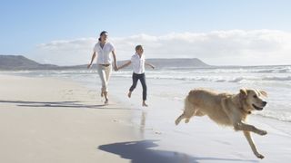 Mother and daughter running with dog on beach