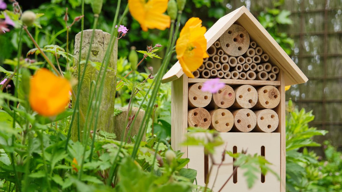 Chic Wildlife Houses to Welcome Beneficial Critters & Control Garden Pests This Spring – Natural Pest Control Never Looked So Good!