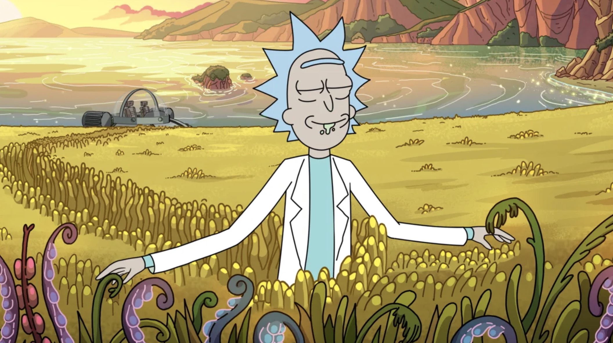 rick and morty season 2 hulu release date