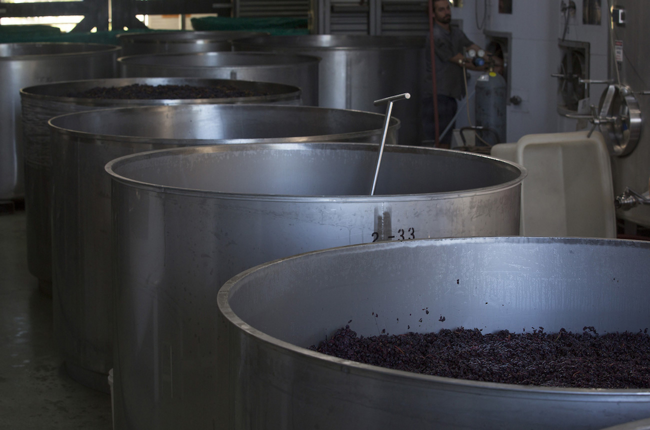 Stonier Pinot Noir fermenters
