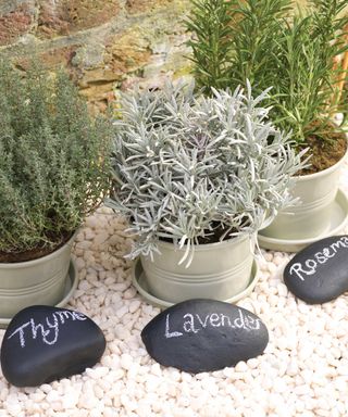 painted pebbles with herb names
