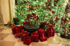 red decorated christmas trees in the white house cross hall