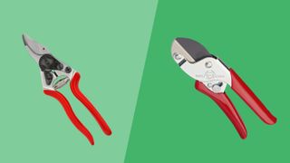 anvil vs bypass pruners