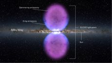 The Fermi Bubbles are two enormous orbs of gas and cosmic rays that tower over the Milky Way, covering a region roughly as large as the galaxy itself. These giant space bubbles may be fueled by a strong outflow of matter from the center of the Milky Way.