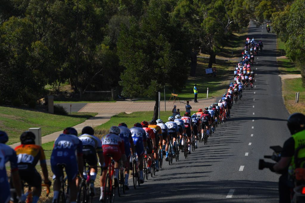 The peloton was lined out