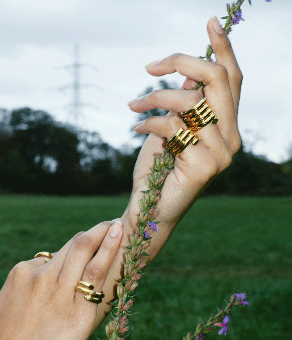 woman wearing gold rings