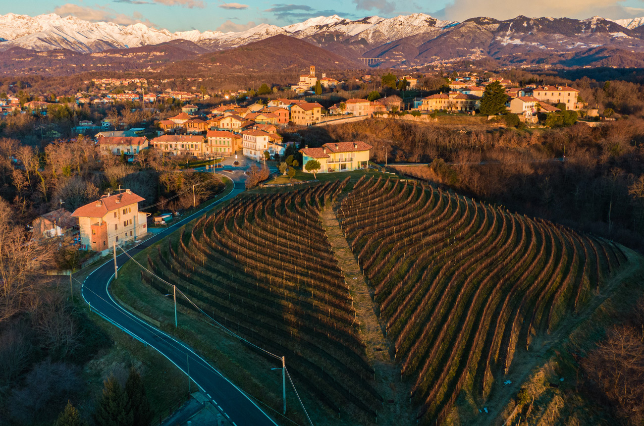 Sperino-Cova&amp;#768;-Vineyard