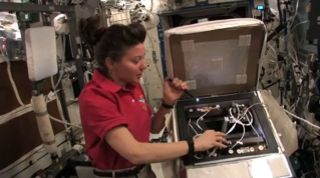 NASA astronaut Cady Coleman checks out the enclosure containing two golden orb spiders on the International Space Station as part of an experiment to study how spiders weave webs in weightlessness. The spiders were delivered to the space station by the shuttle Endeavour during NASA's STS-134 mission in May 2011.
