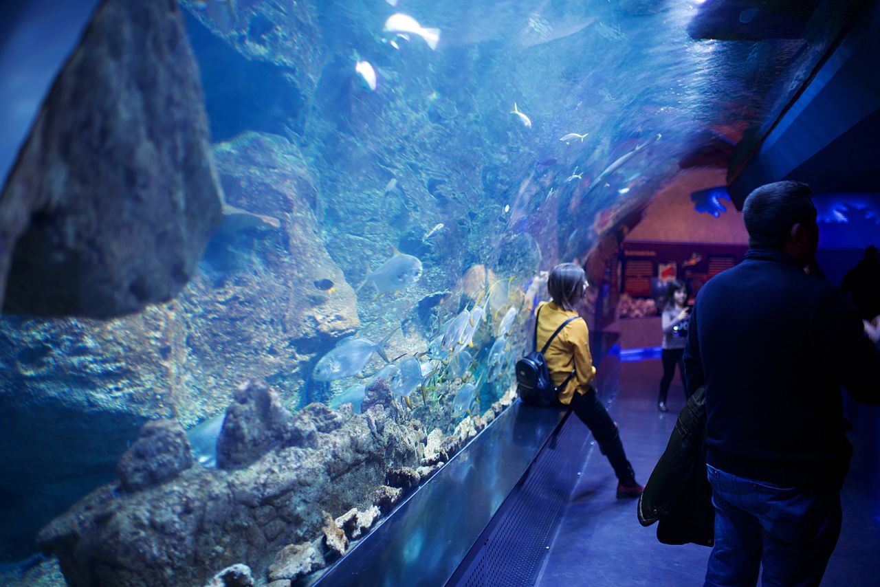 Image of parents and kids at an aquarium