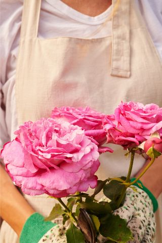 pamela holding roses